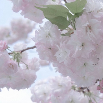 怀化FurryQQ群介绍